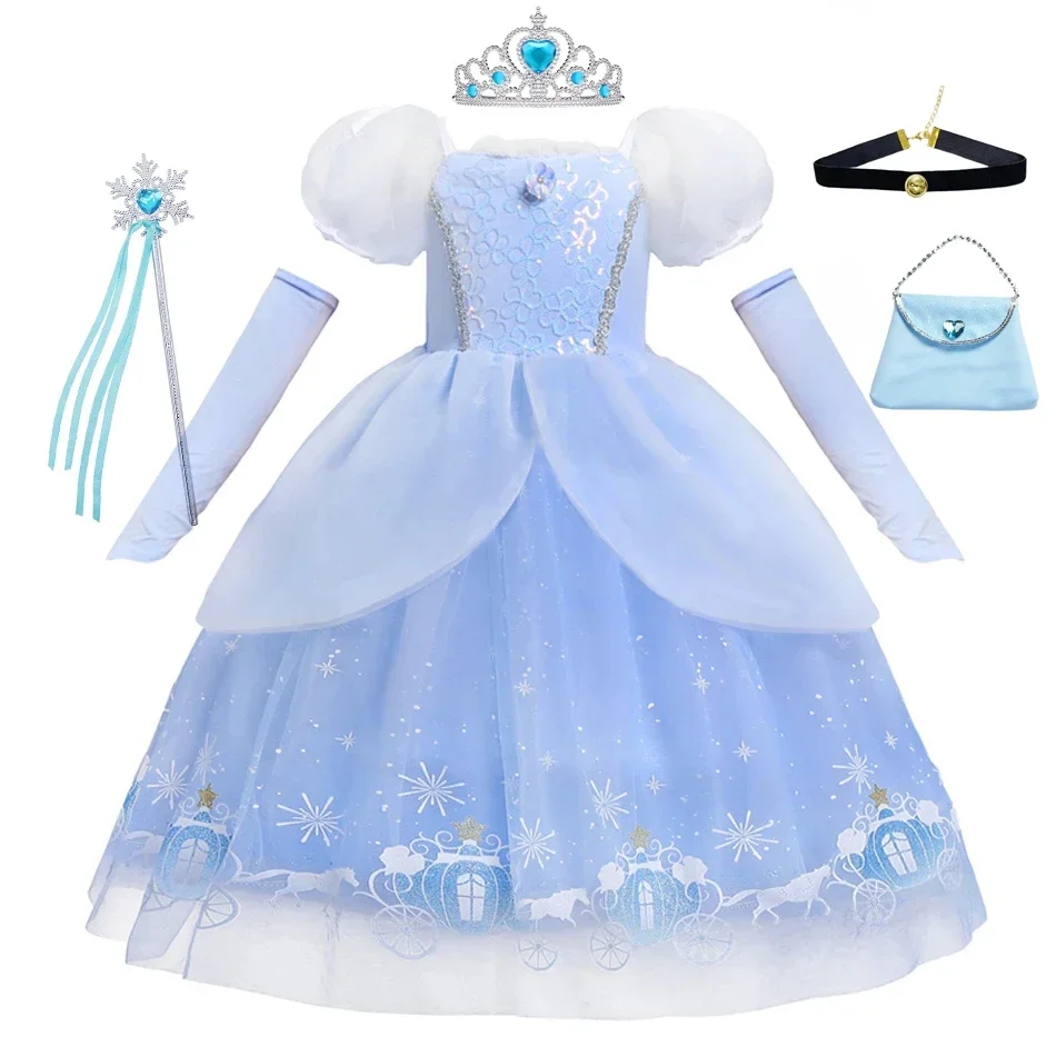 Cinderella Princess Cosplay Dr - Summer Clothing Gifts ulasan dan harga