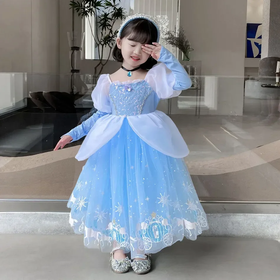 Cinderella Princess Cosplay Dr - Summer Clothing Gifts ulasan dan harga