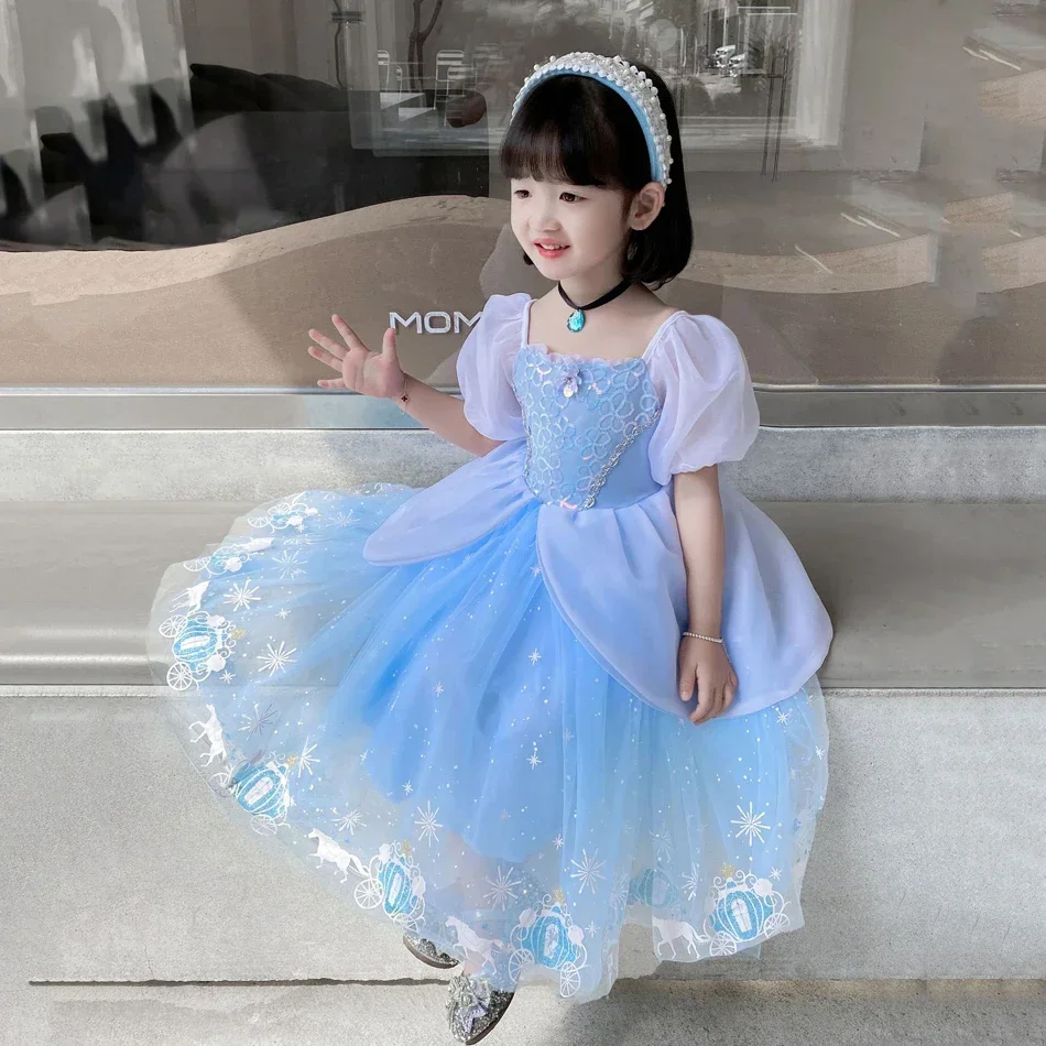 Cinderella Princess Cosplay Dr - Summer Clothing Gifts ulasan dan harga