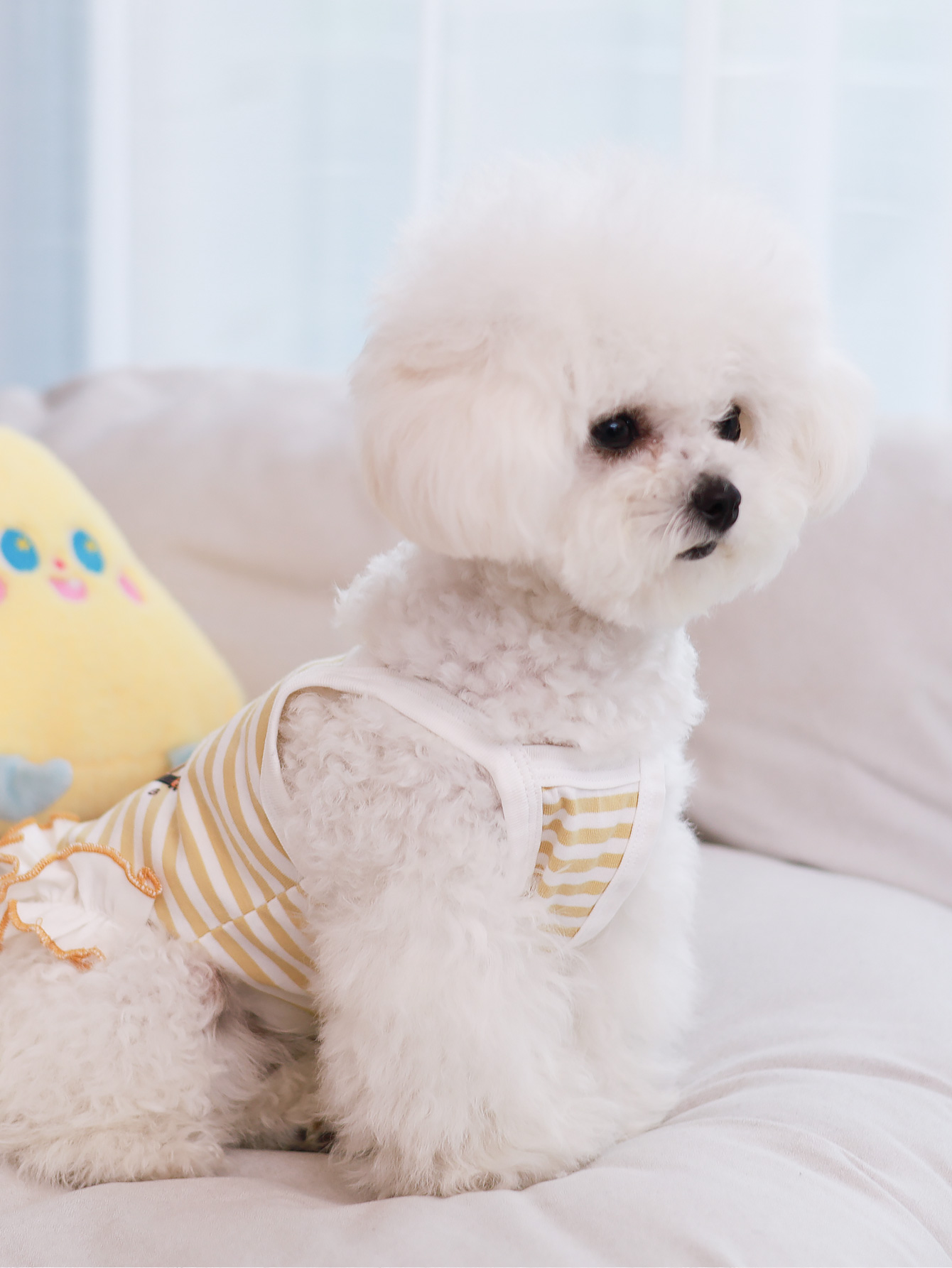 Dog vest, summer breathable th - Summer Clothing Material ulasan dan harga